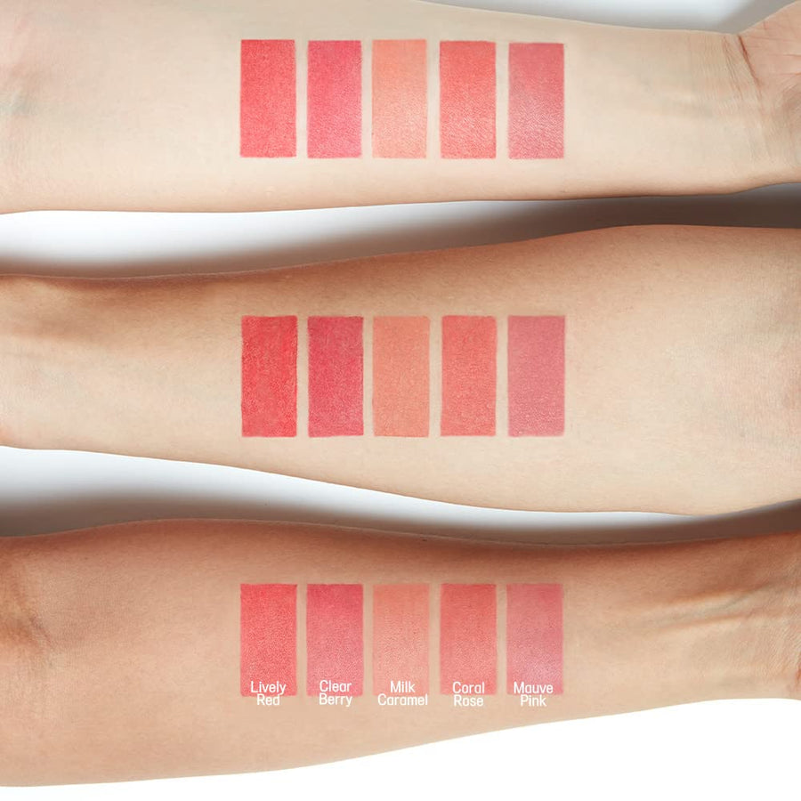 ETUDE Fixing Tint Bar – 5 Types (3.2g)